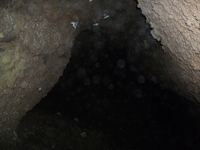 otta monte Cicirello-10042012 071